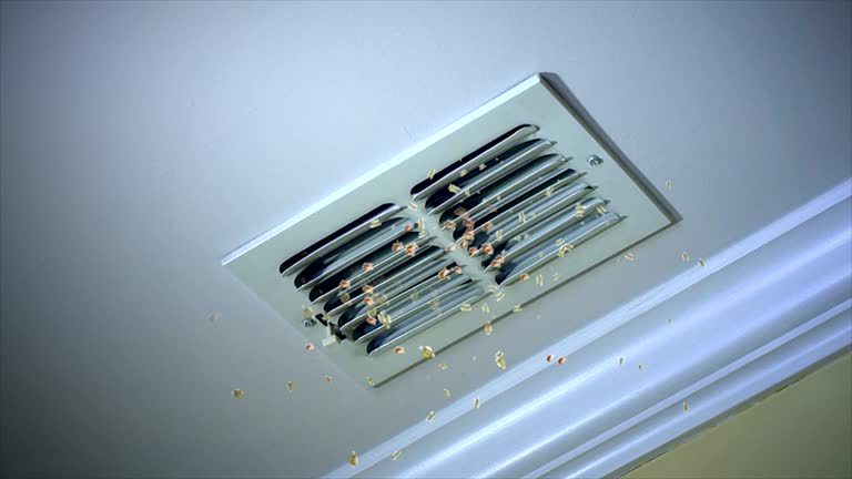 Best Air Duct Cleaning Near Me  in Roxana, IL