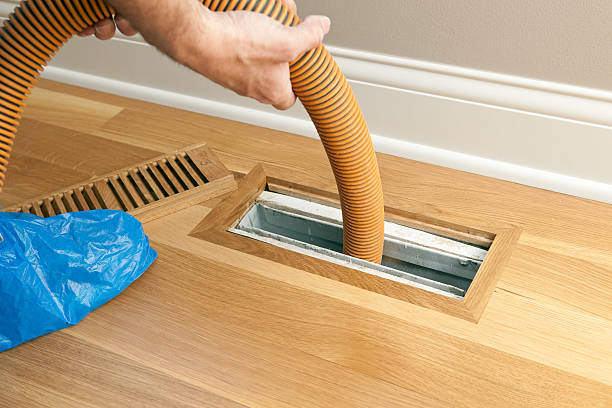 Best Affordable Duct Cleaning Services  in Roxana, IL