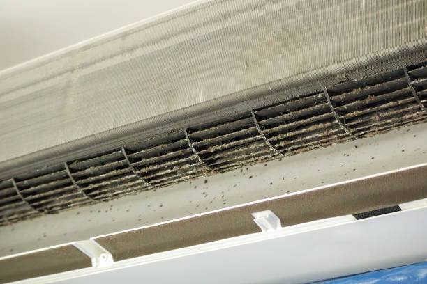 Best Best Air Duct Cleaning Company  in Roxana, IL