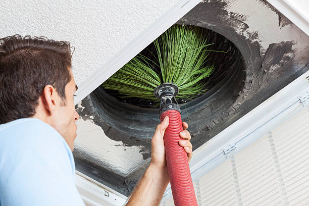 Best Residential Air Duct Cleaning  in Roxana, IL
